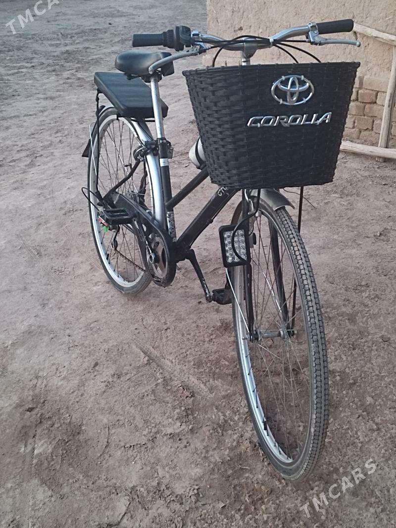 welik - Gurbansoltan Eje - img 4