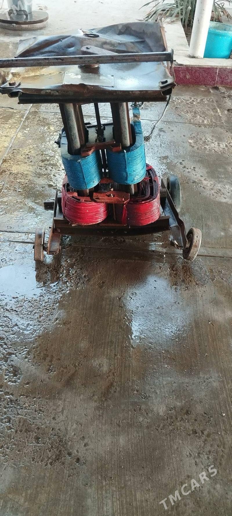 swarka - Sakarçäge - img 3