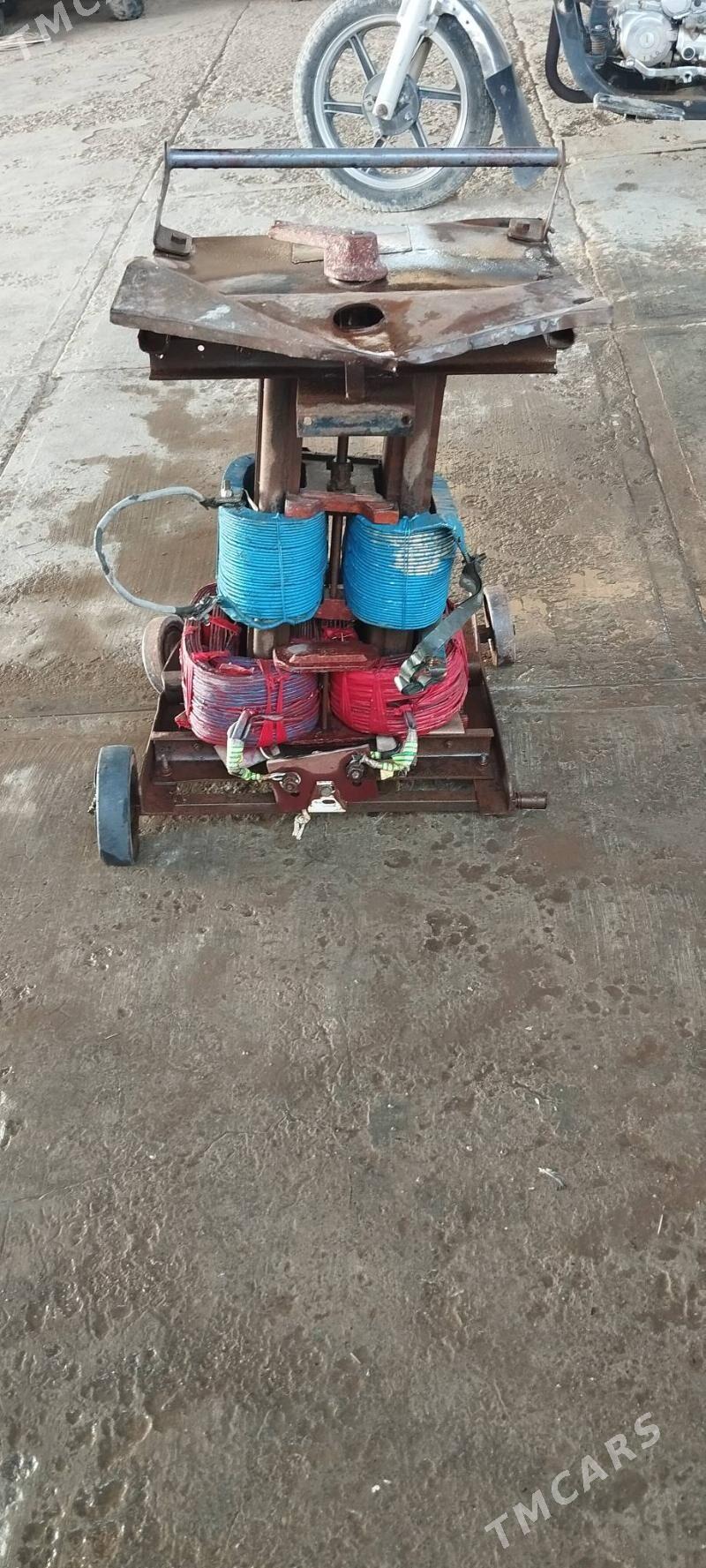 swarka - Sakarçäge - img 2