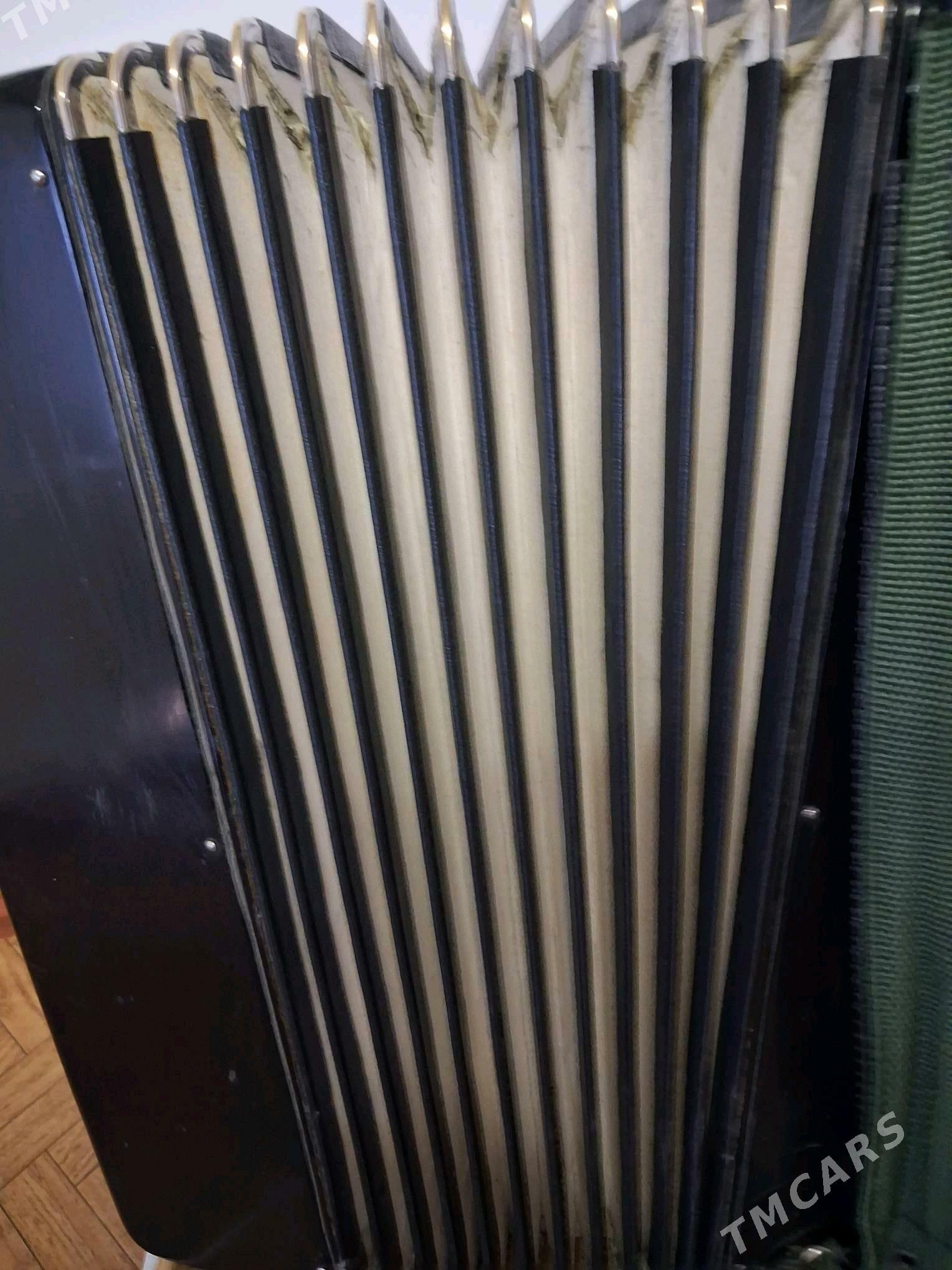 akkordeon - Дашогуз - img 2