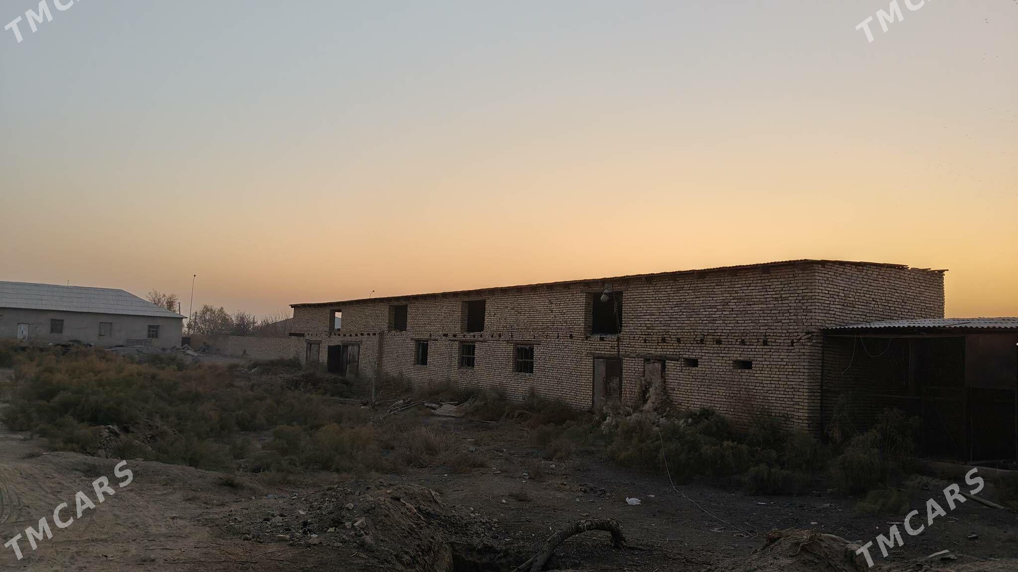 Ферма участка - Дашогуз - img 10