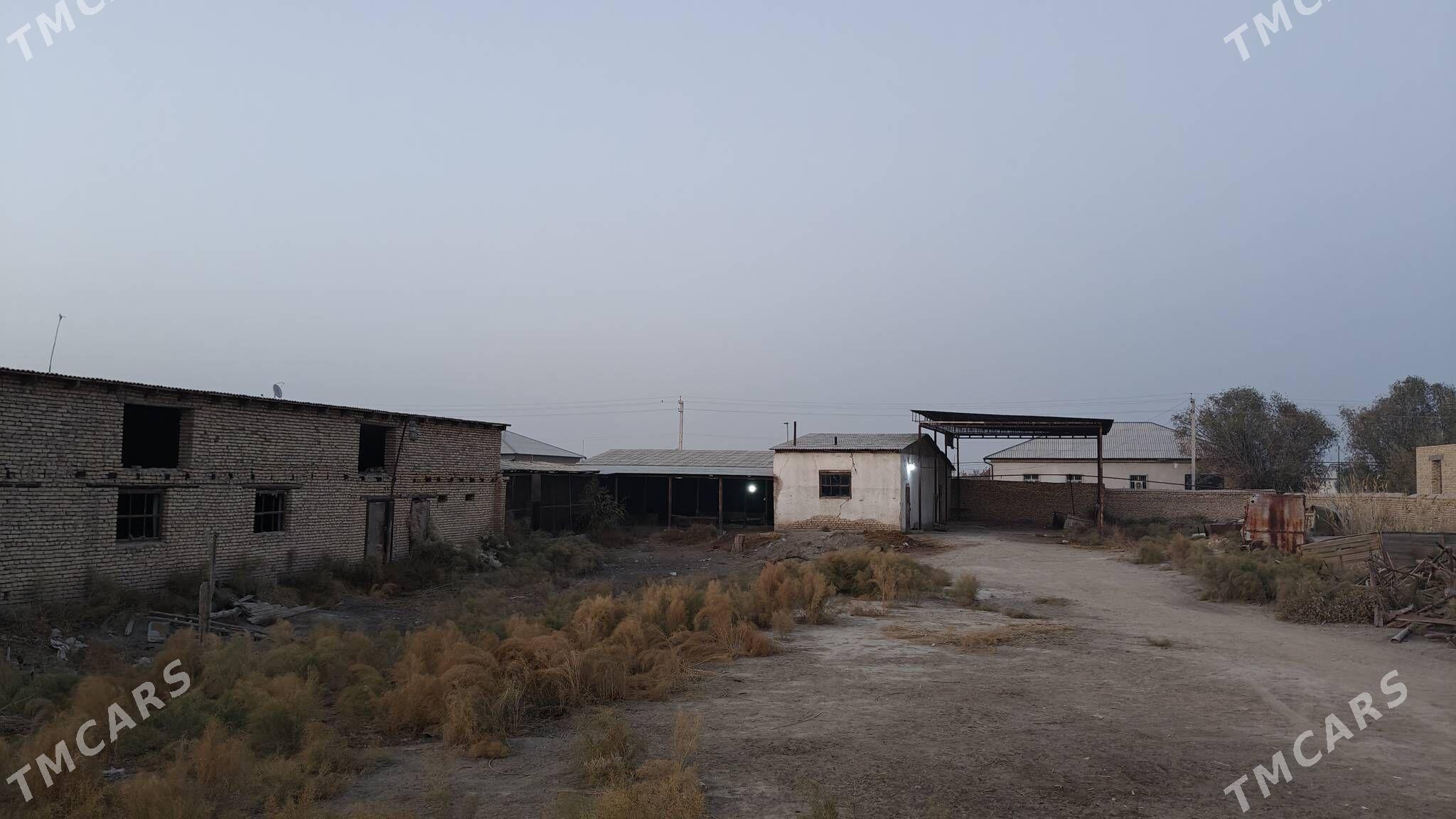 Ферма участка - Дашогуз - img 9