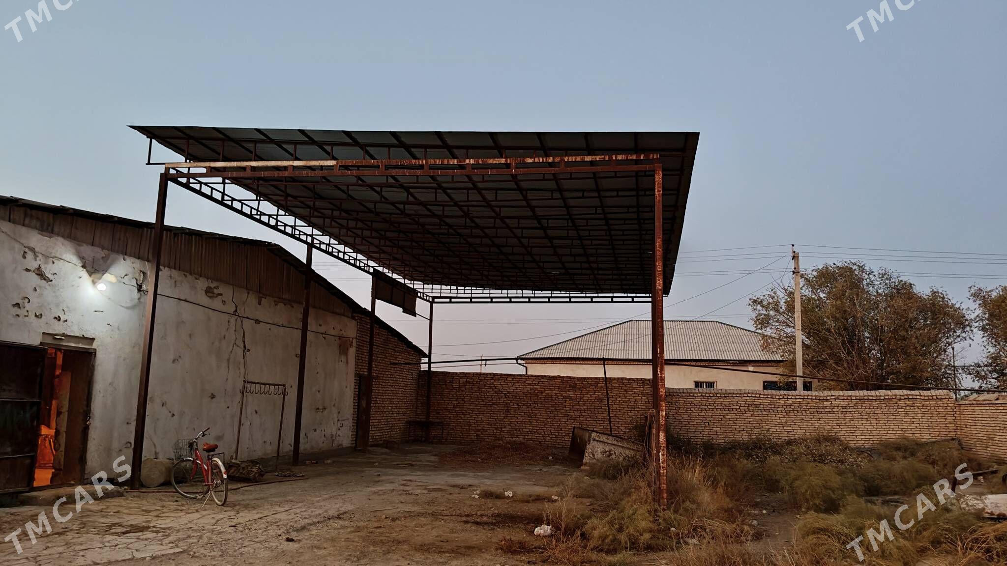 Ферма участка - Дашогуз - img 7