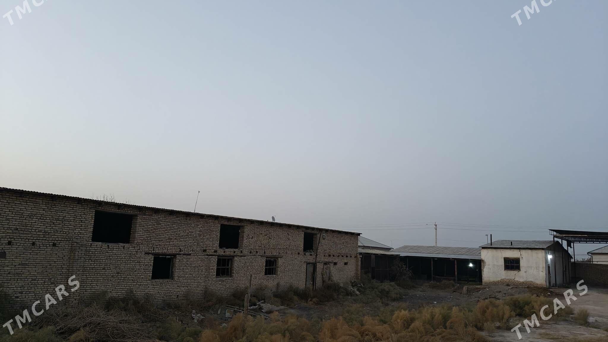 Ферма участка - Дашогуз - img 4