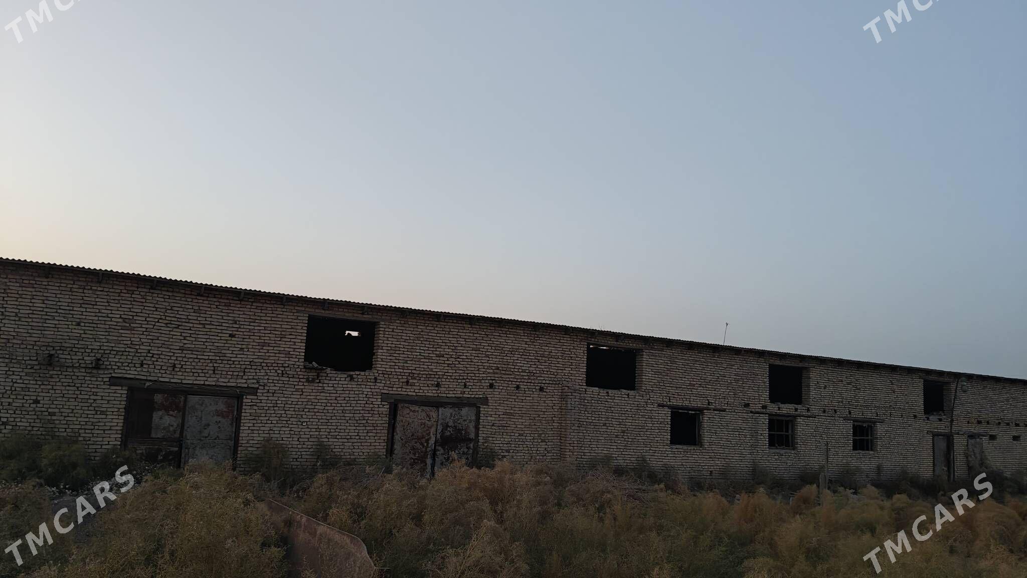 Ферма участка - Дашогуз - img 3