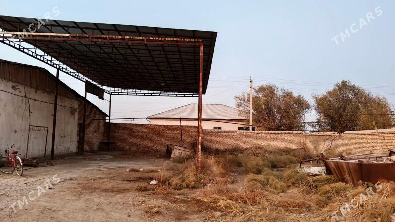 Ферма участка - Дашогуз - img 8