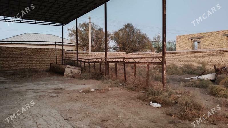 Ферма участка - Дашогуз - img 6