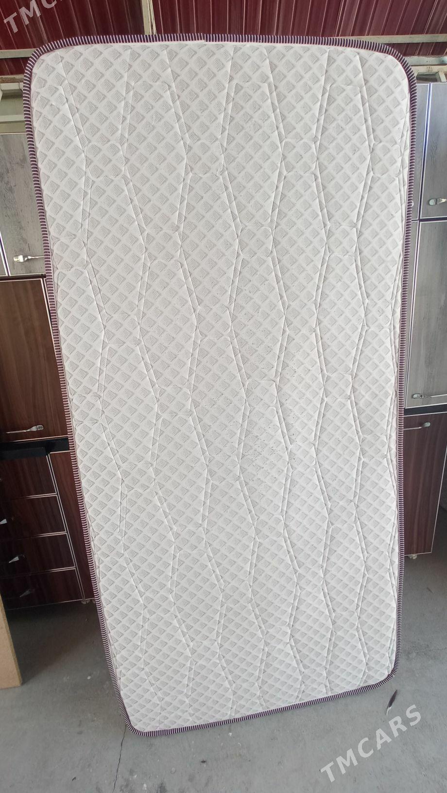 1 adamlyk spanly - Aşgabat - img 3