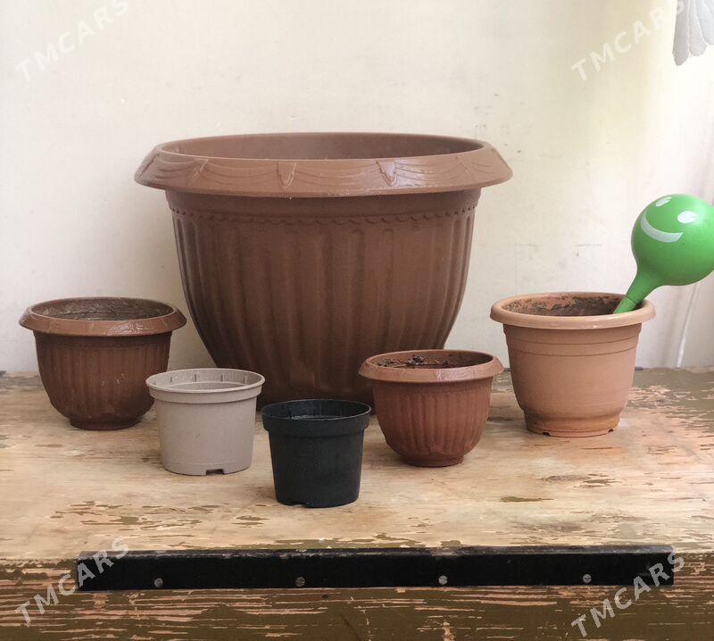 горшки для цветов - Aşgabat - img 4