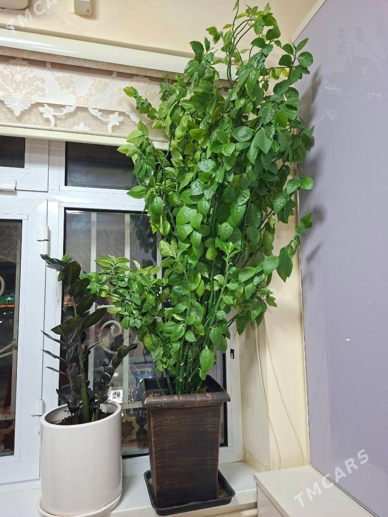 Ŏy Gulleri - Мир 2 - img 3