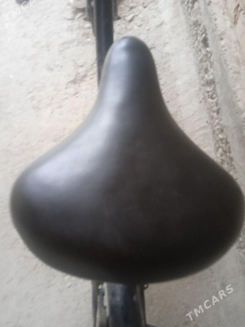 tigir - Анев - img 2