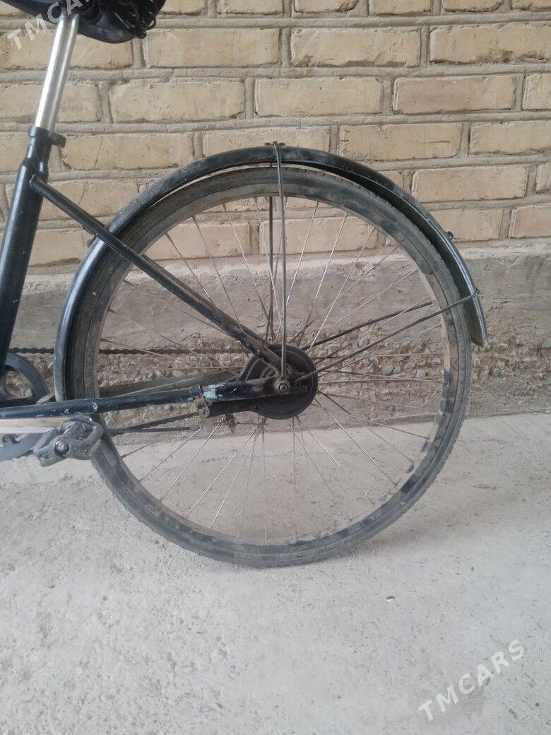 tigir - Анев - img 4