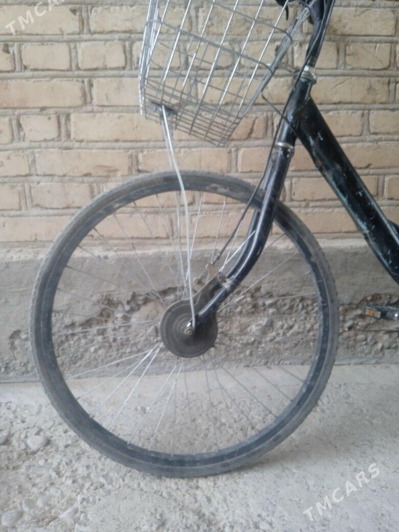 tigir - Анев - img 3