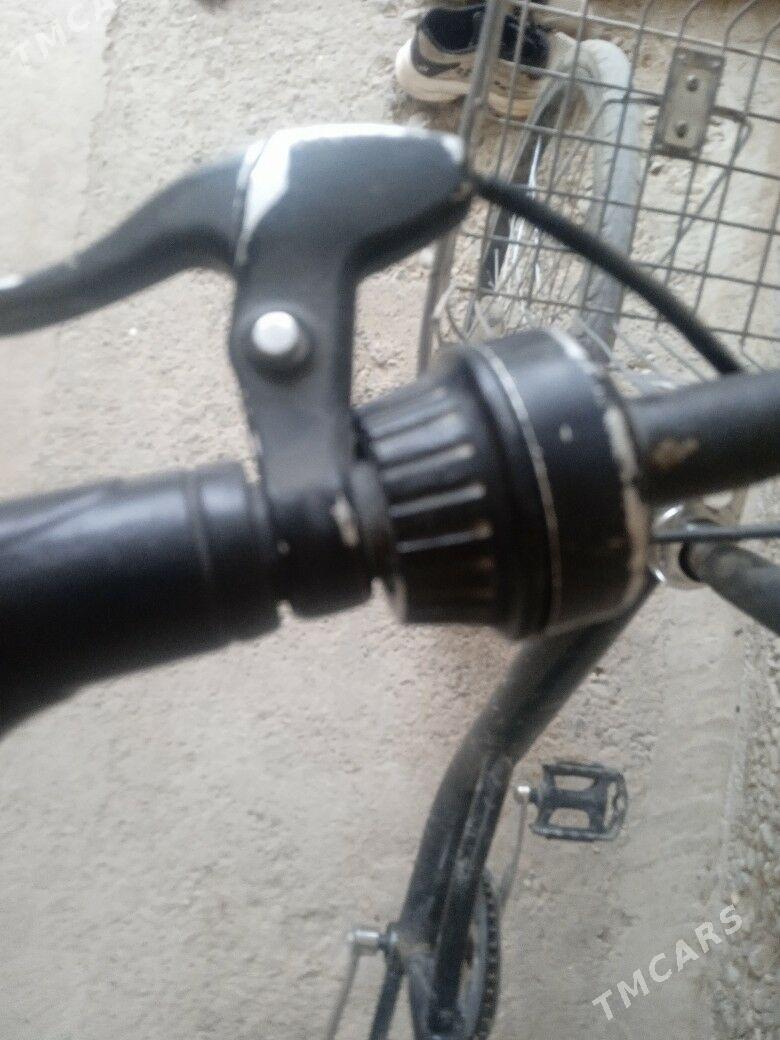 tigir - Анев - img 6