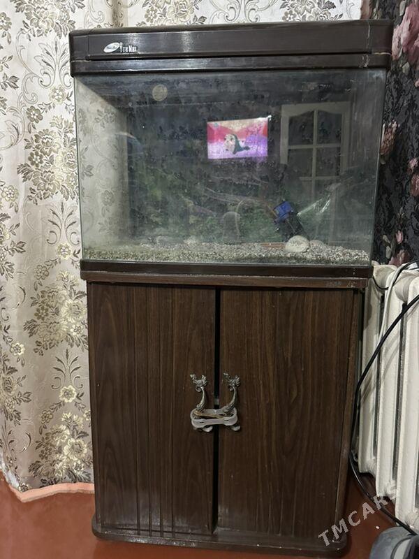 посуда - Mary - img 1