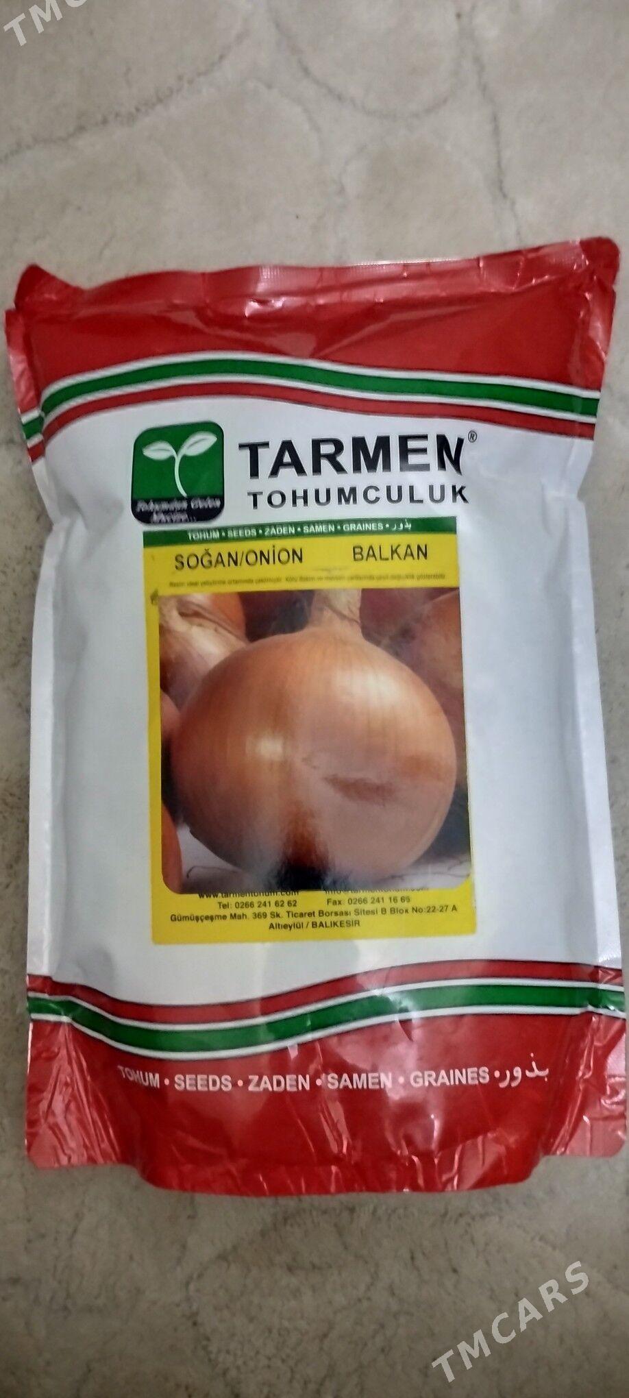 sogan tohum tarmen - Türkmenabat - img 4