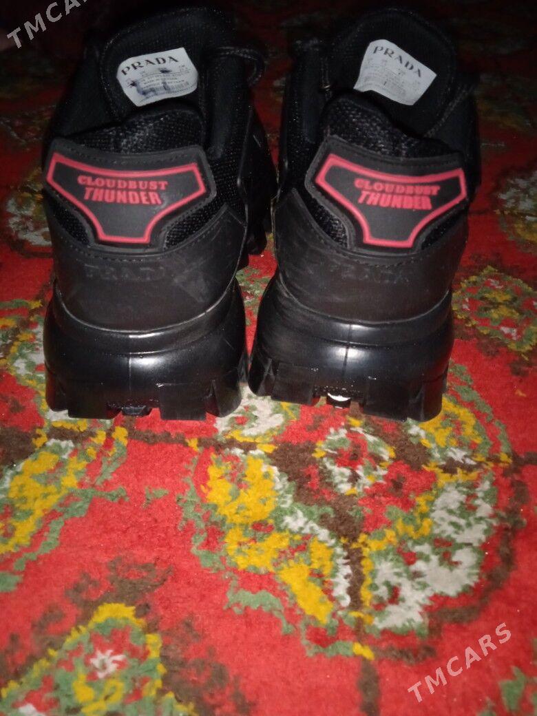 PRADO KRASOFKA - Daşoguz - img 2