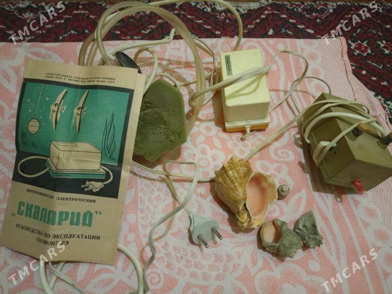 Скалярий - Бузмеин ГРЭС - img 2