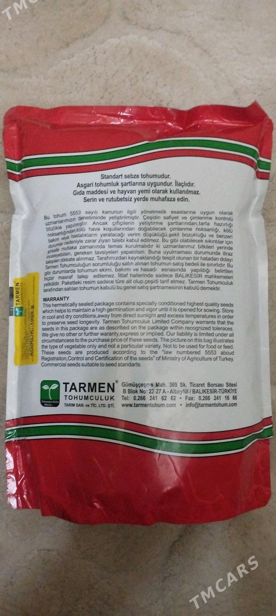 sogan tohum tarmen - Türkmenabat - img 2