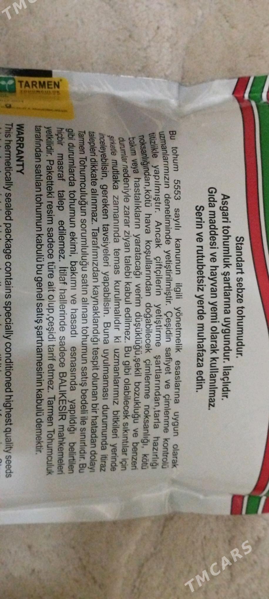 sogan tohum tarmen - Türkmenabat - img 3