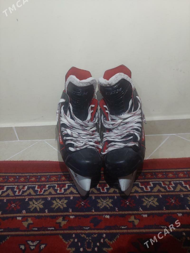 Kanki Коньки - Ашхабад - img 2