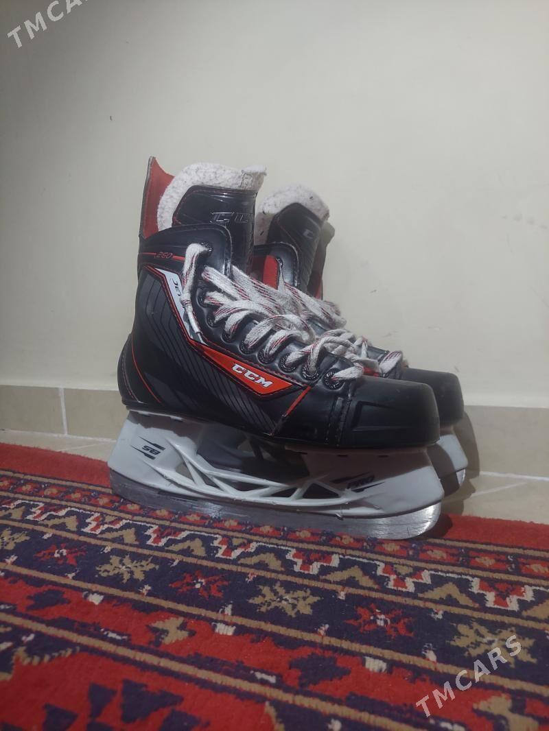 Kanki Коньки - Ашхабад - img 1