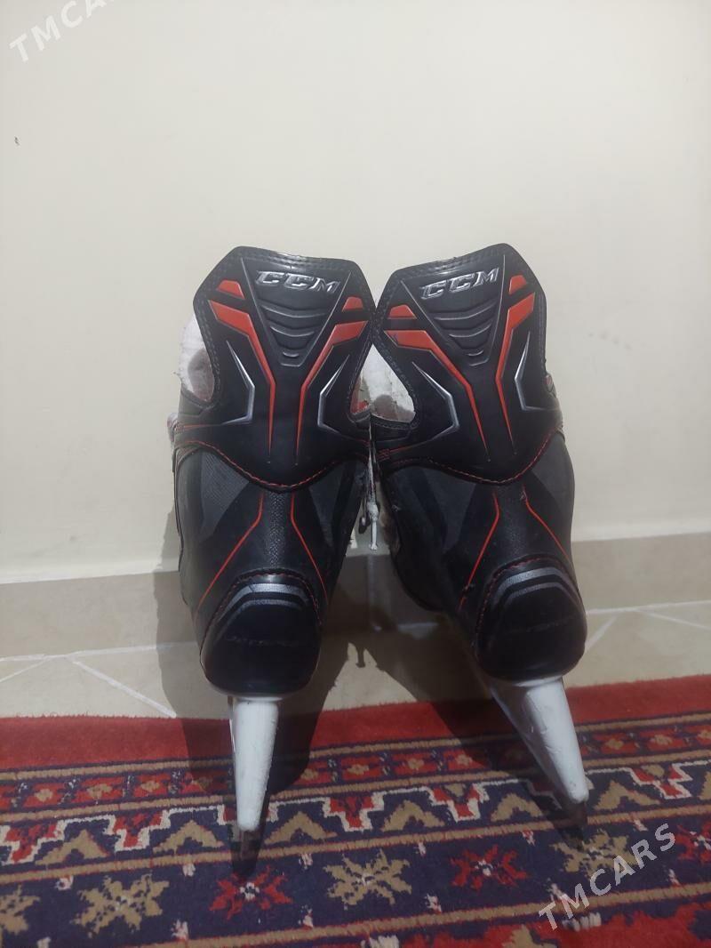 Kanki Коньки - Ашхабад - img 3