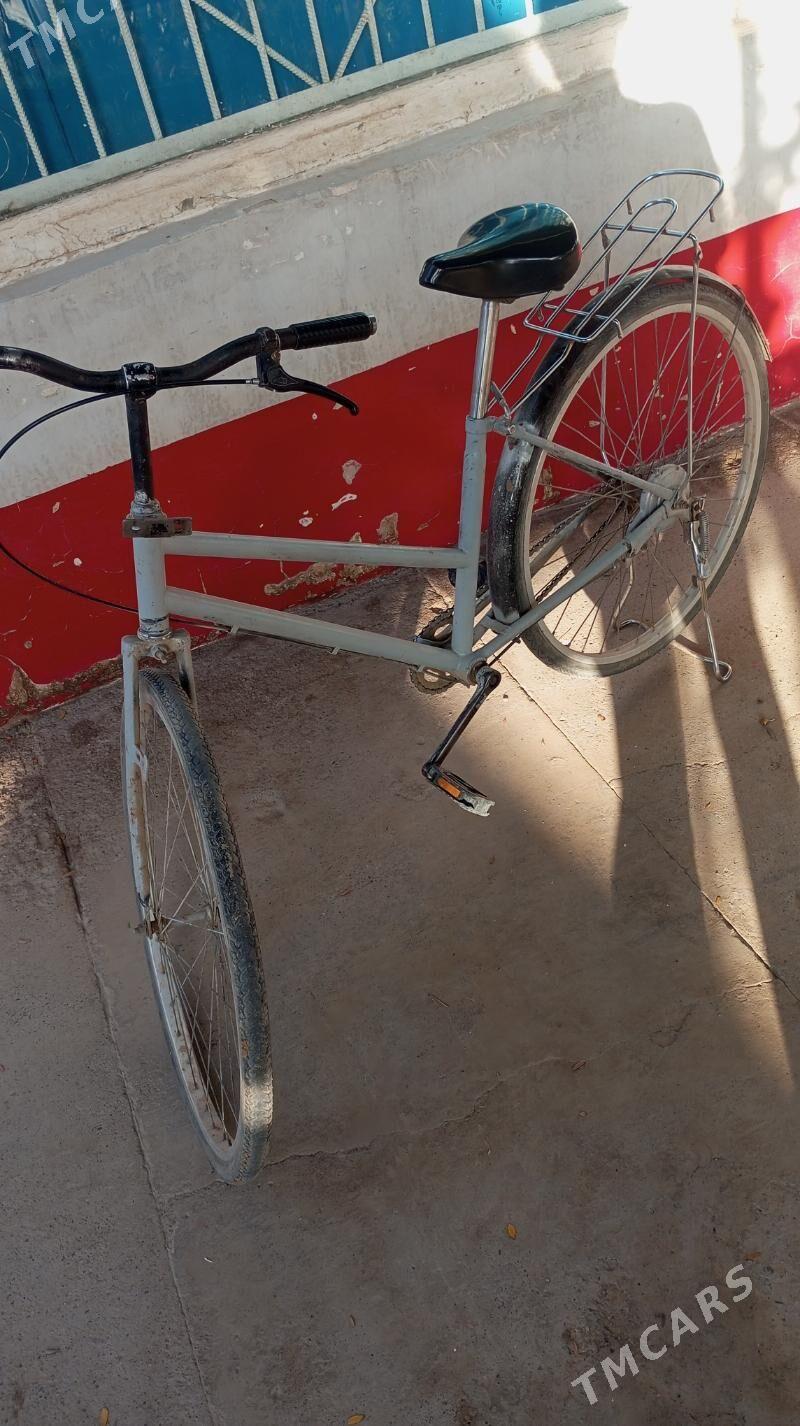 welsoped - Sakarçäge - img 2