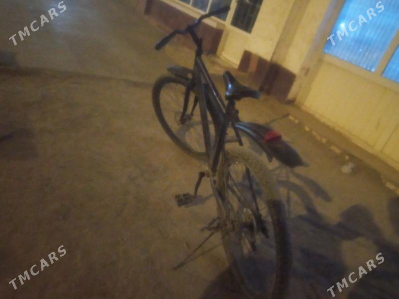 Turkmenistan - Boldumsaz - img 5