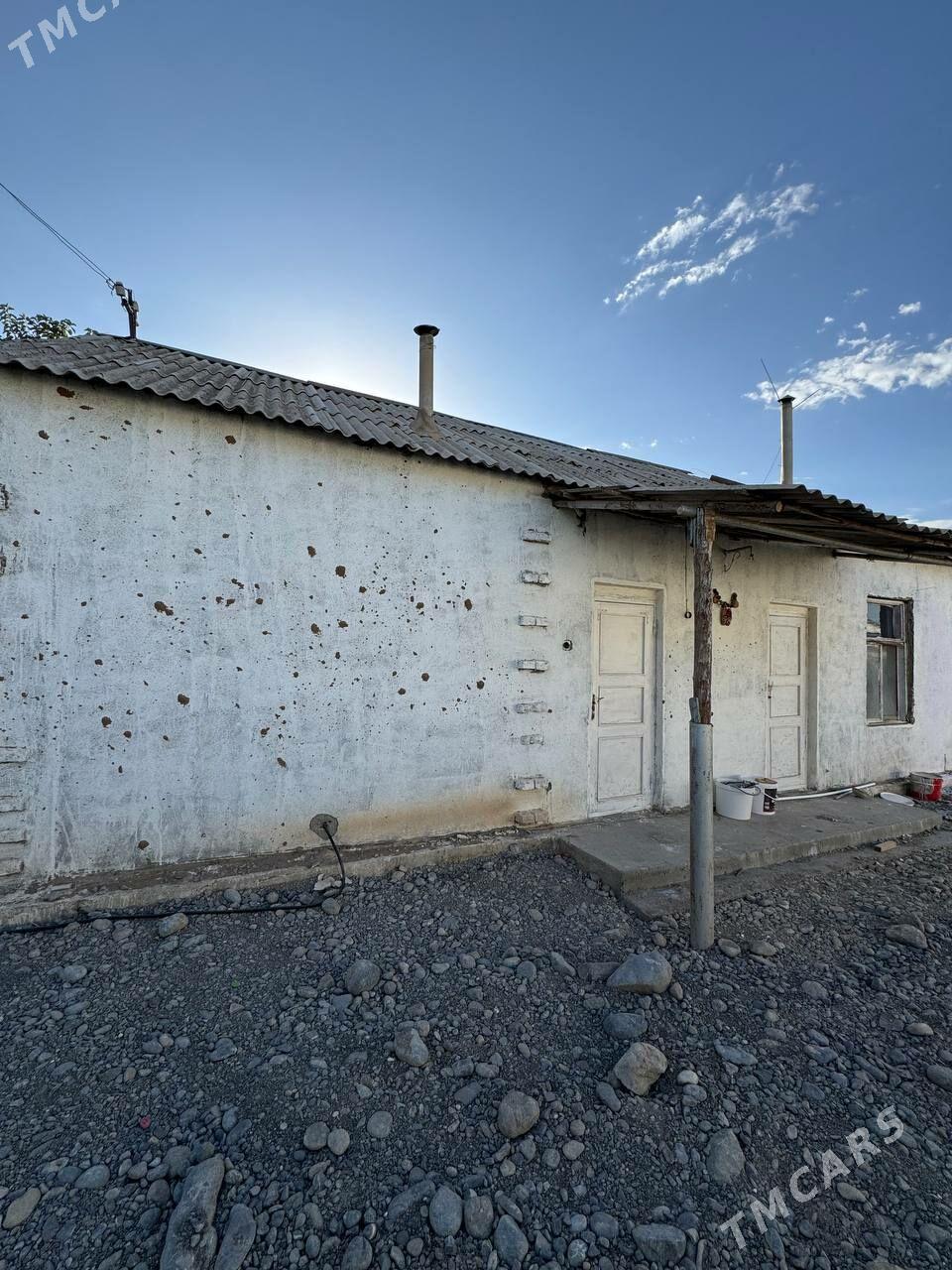 anew arenda jay - Änew - img 4