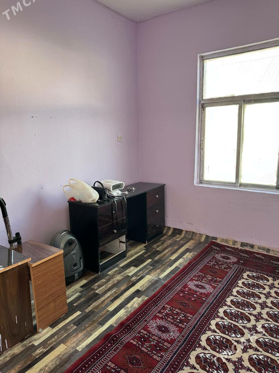 anew arenda jay - Änew - img 6