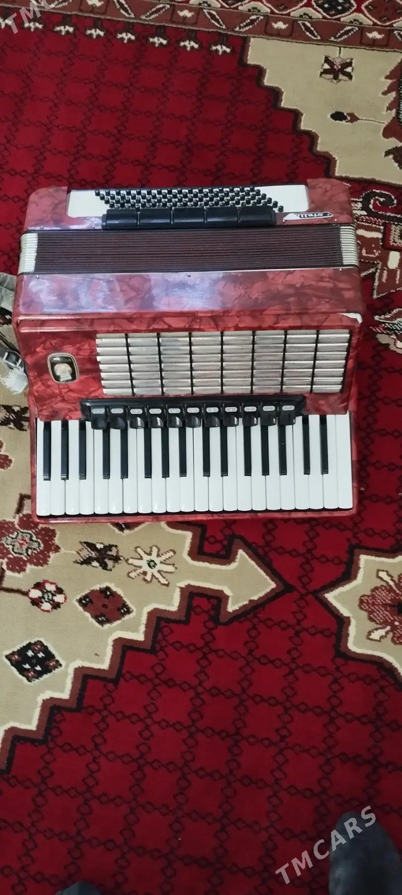 akkordeon - Mary - img 2