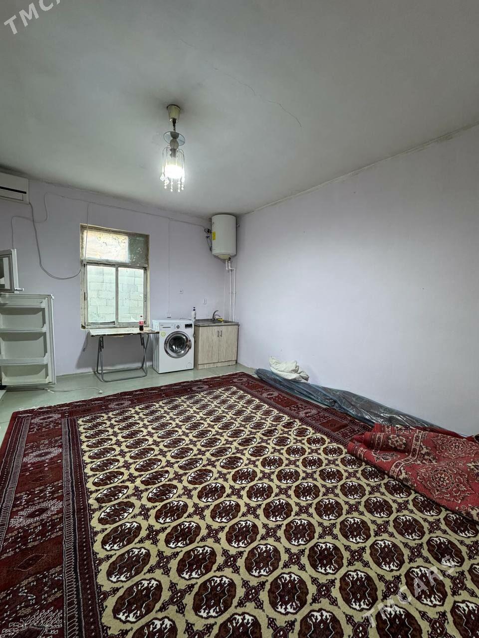 anew arenda jay - Änew - img 2