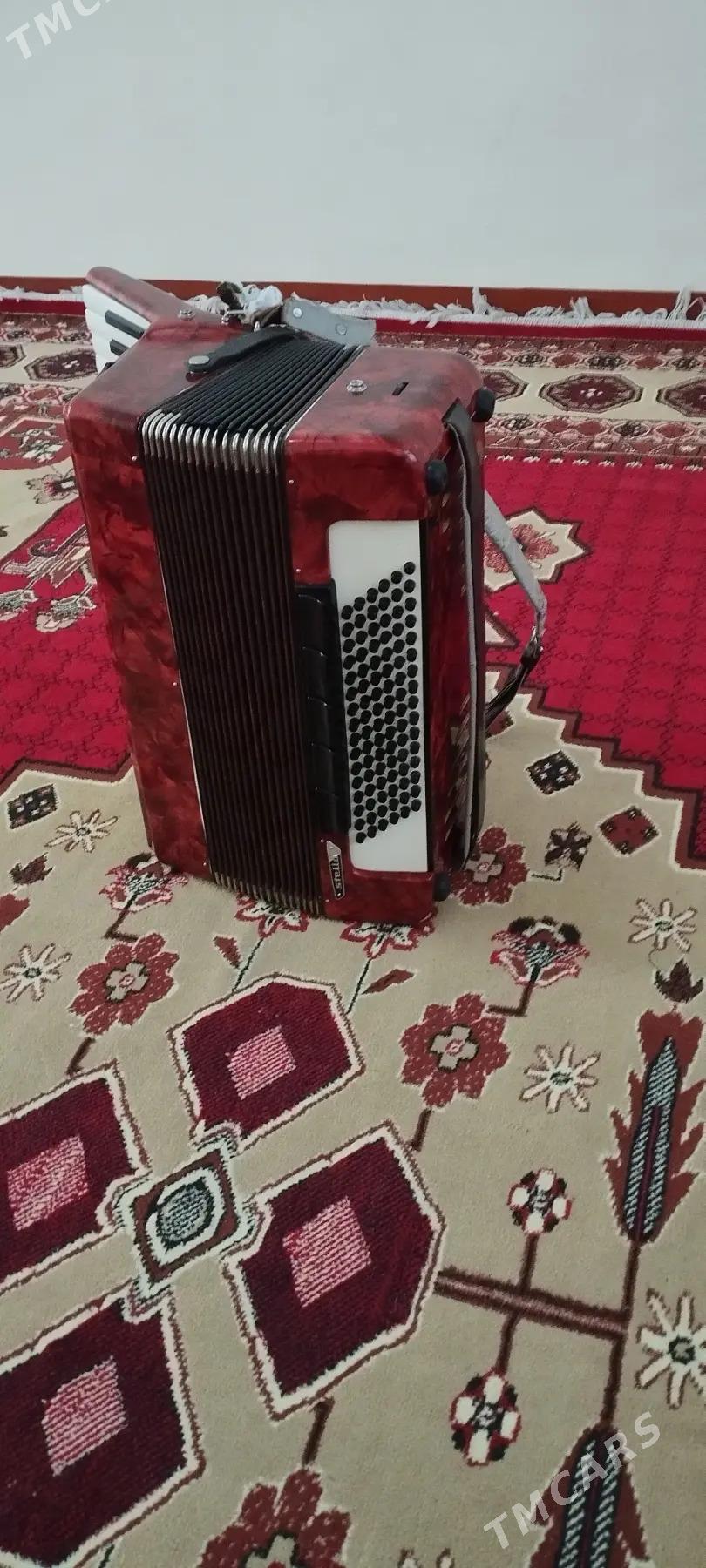 akkordeon - Mary - img 4