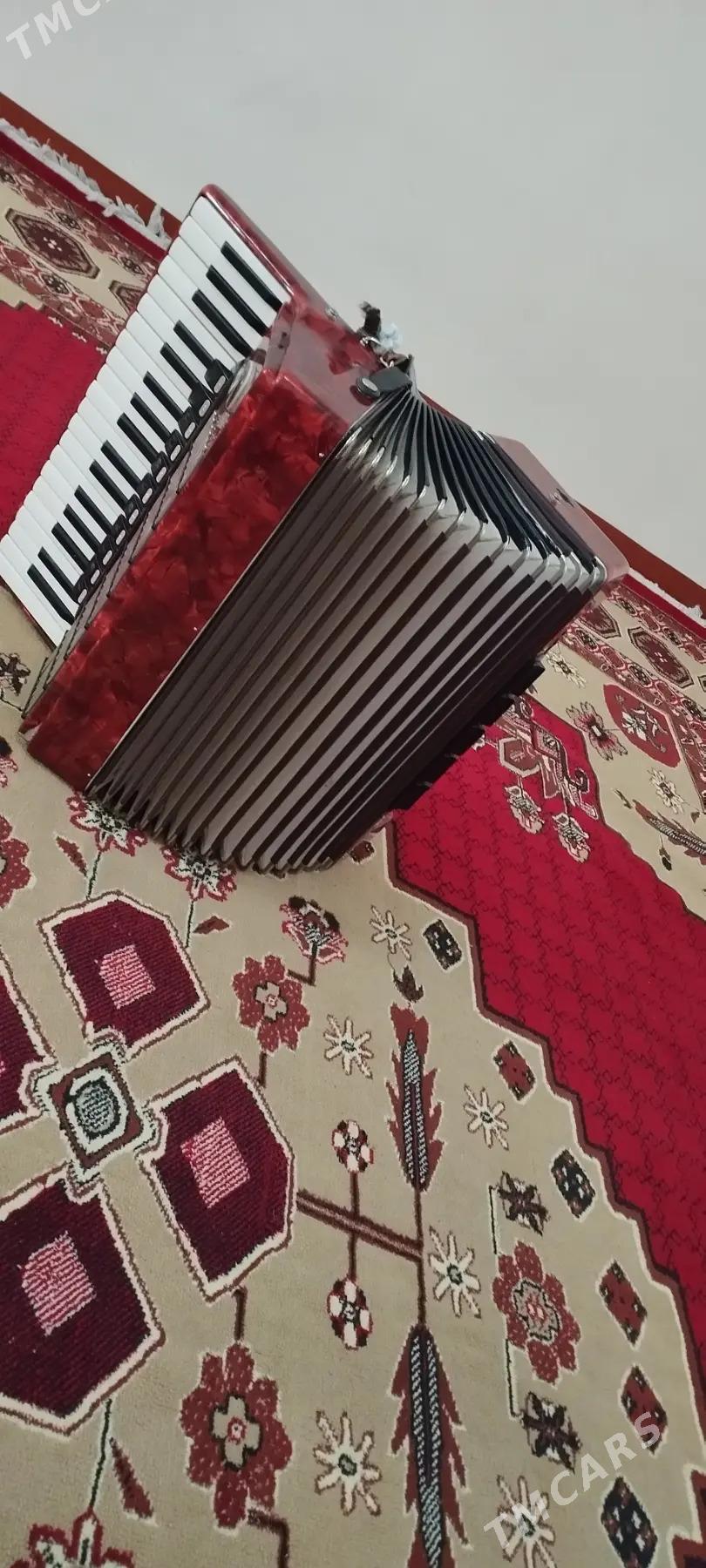 akkordeon - Mary - img 3