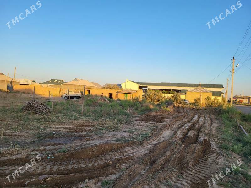 mellek yer земельный участок - Байрамали - img 5