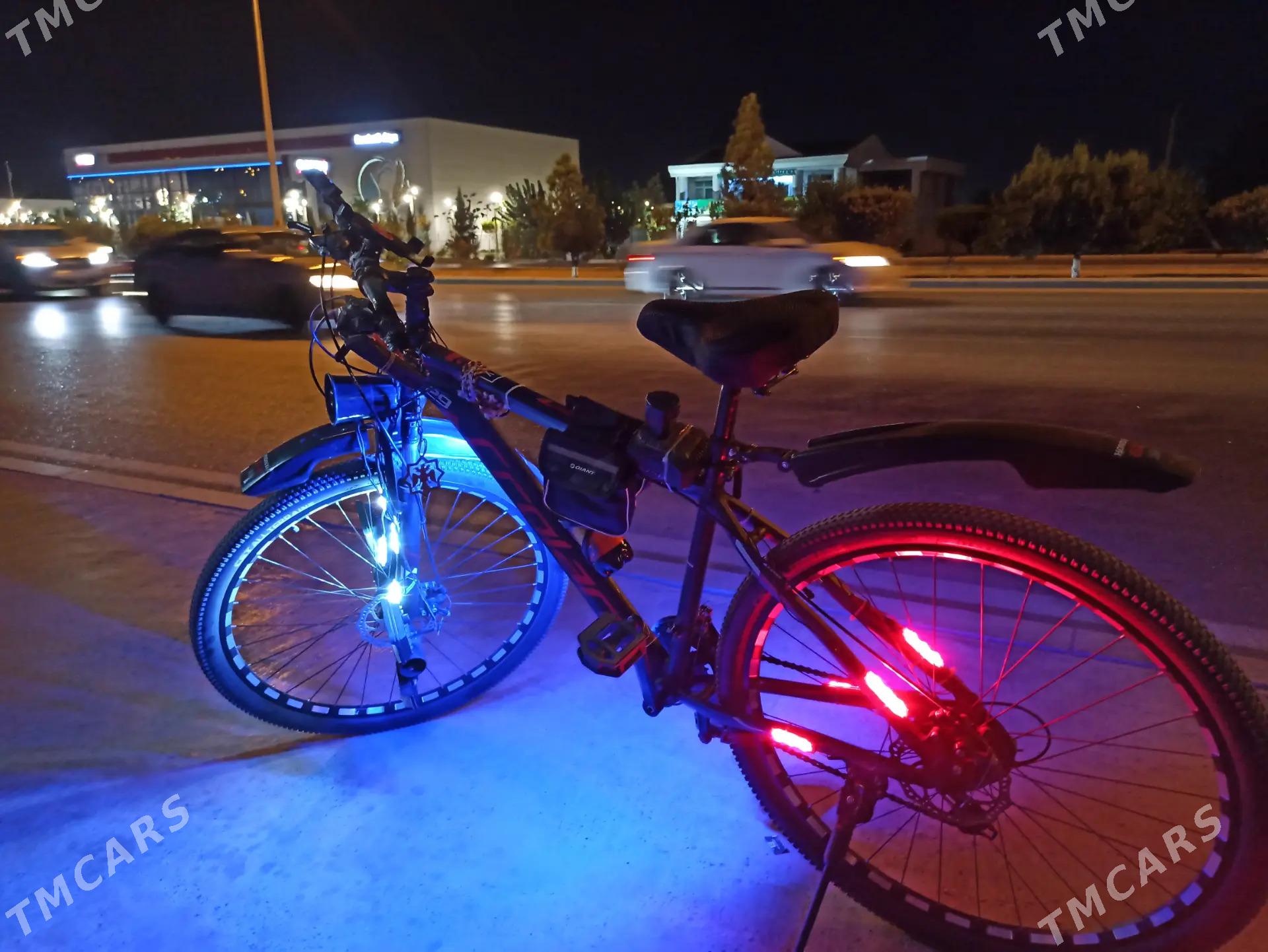 СROLAN 29 lyk tigir - Änew - img 5