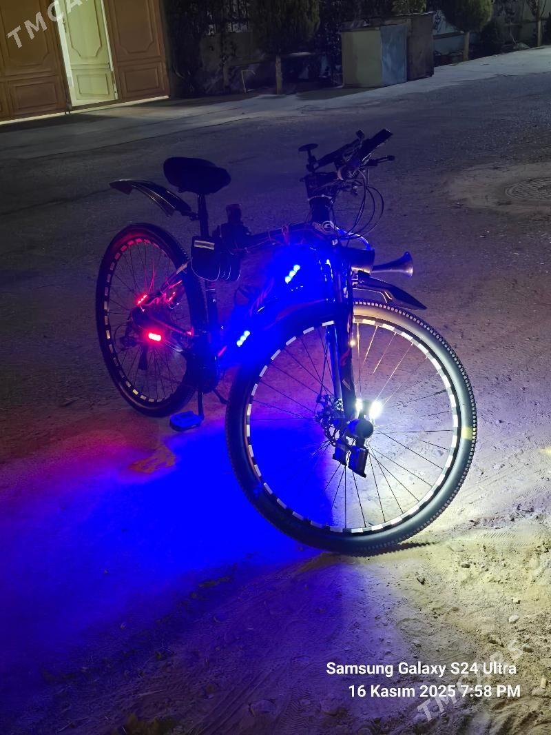 СROLAN 29 lyk tigir - Änew - img 3