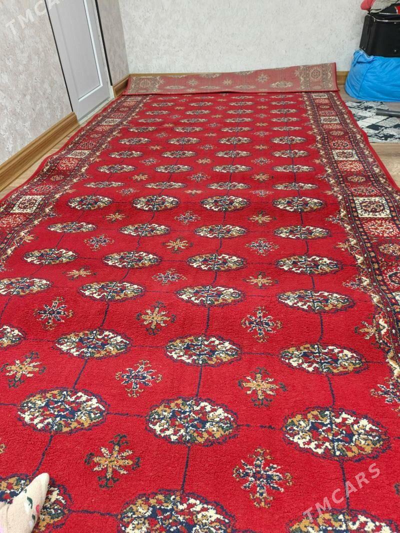 Haly - Hitrowka - img 2