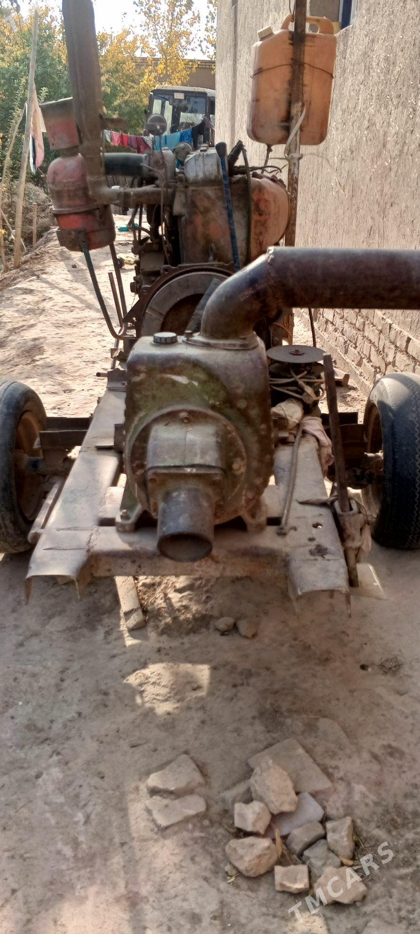 paty paty nasos - Gurbansoltan Eje - img 2