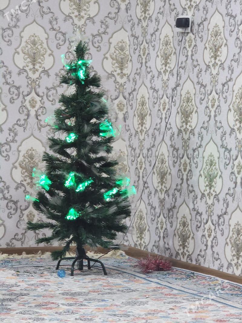 Ýolko tazeyyla - Анев - img 2