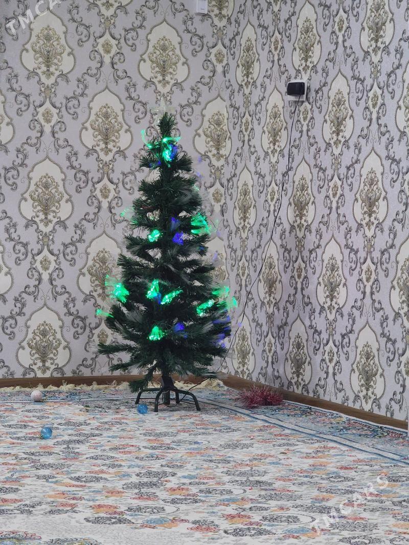 Ýolko tazeyyla - Анев - img 3