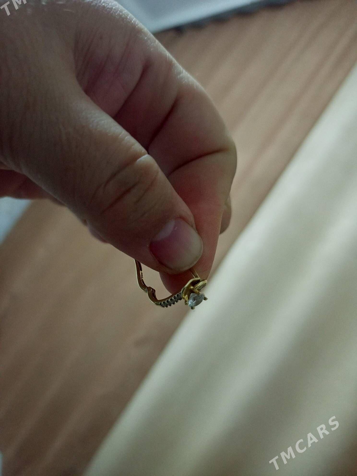 потеряли серьгу. - Туркменбаши - img 3