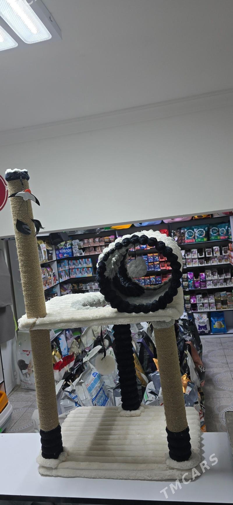 домики для кошек - Aşgabat - img 1