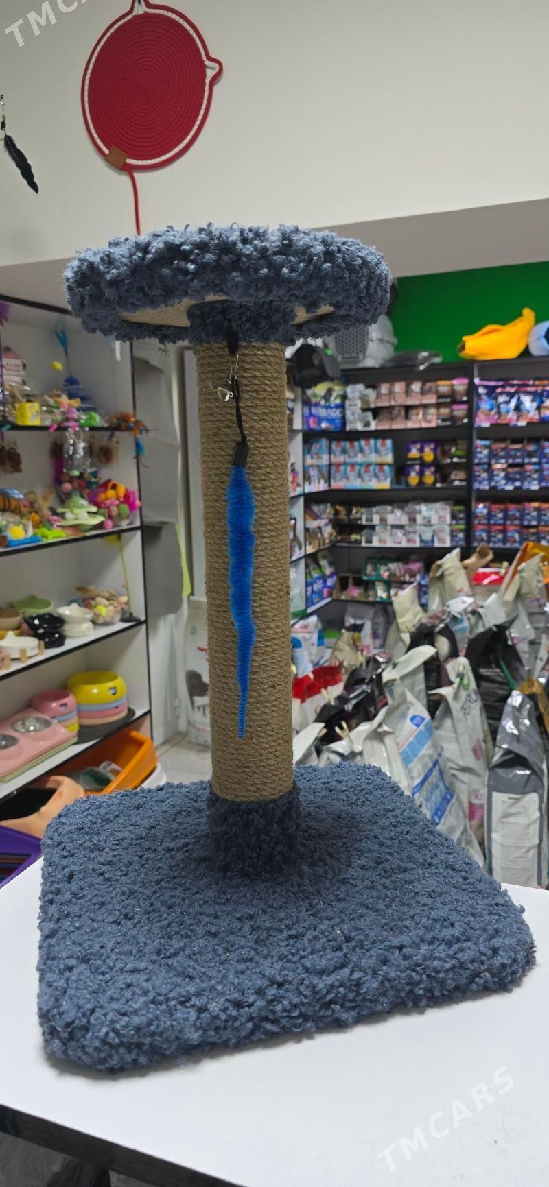 домики для кошек - Aşgabat - img 4