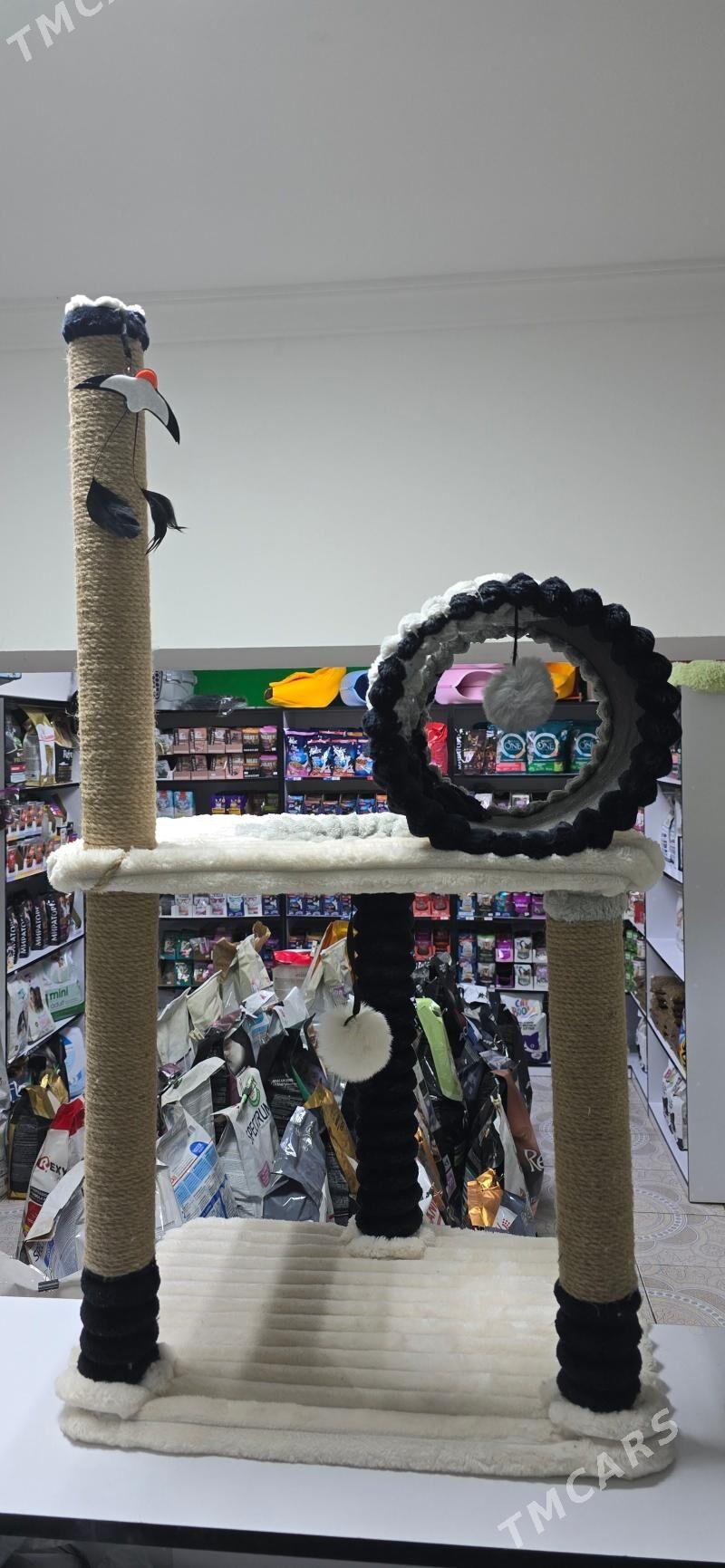 домики для кошек - Aşgabat - img 5