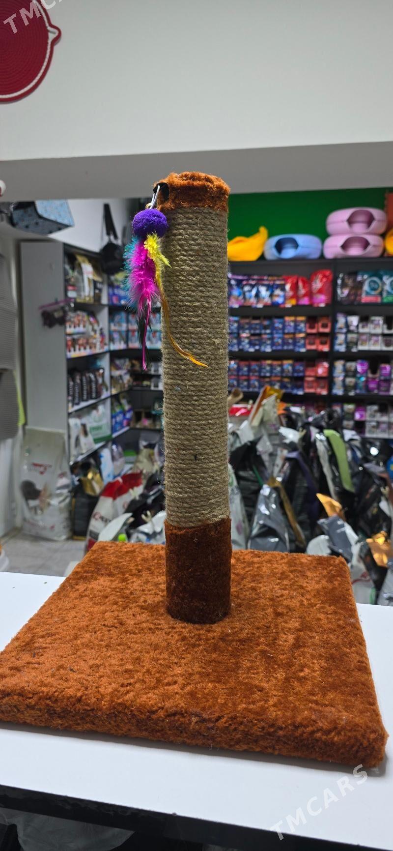 домики для кошек - Aşgabat - img 3