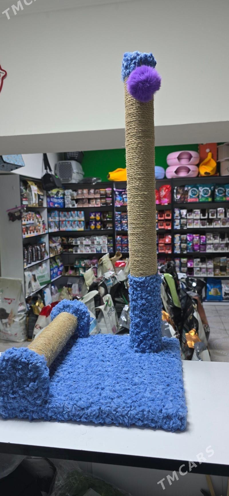 домики для кошек - Aşgabat - img 2