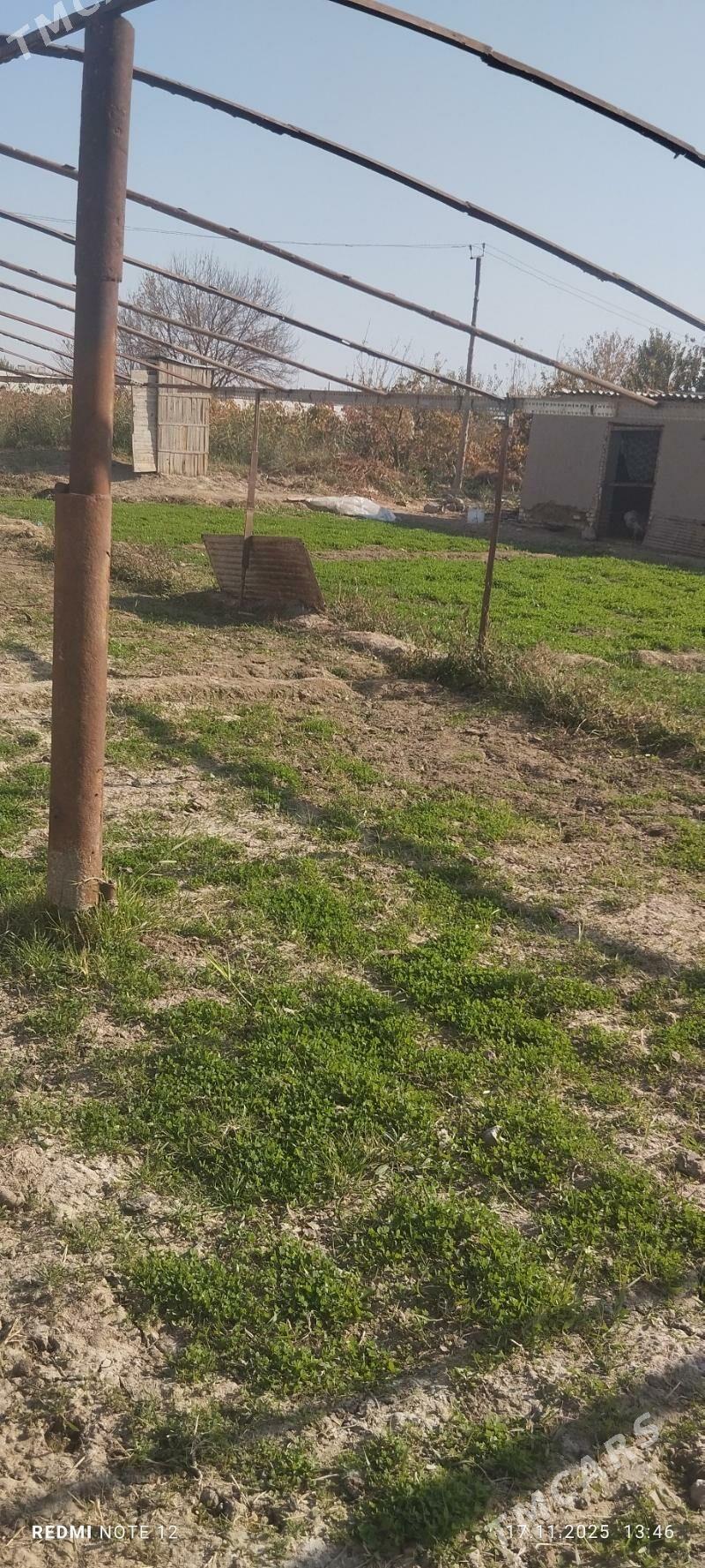 parnik - Murgap - img 2