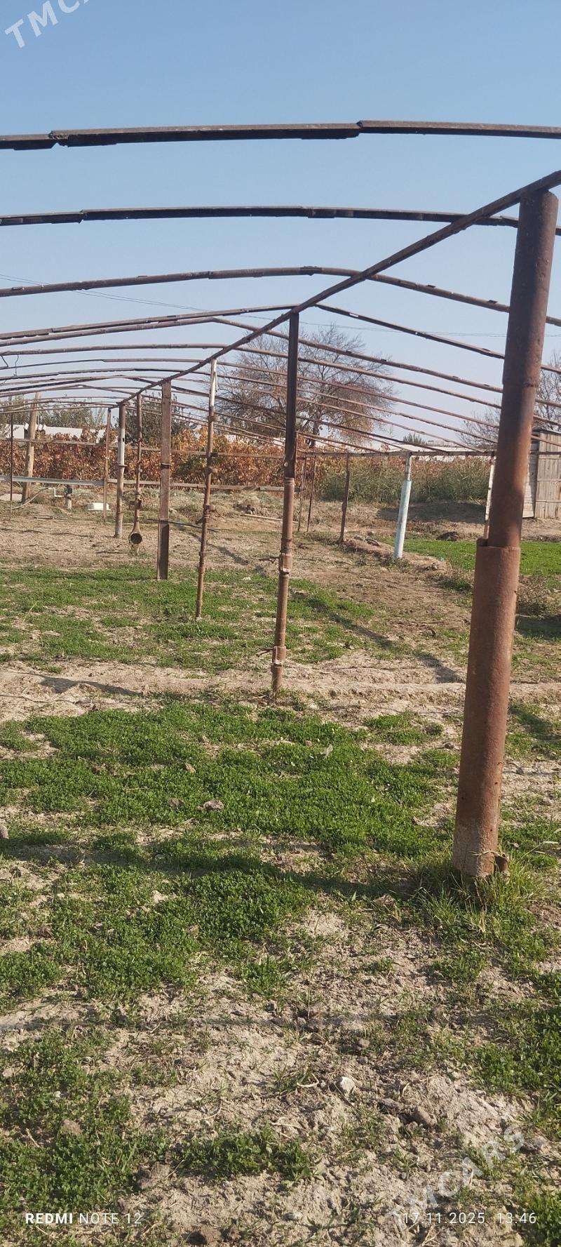 parnik - Murgap - img 3